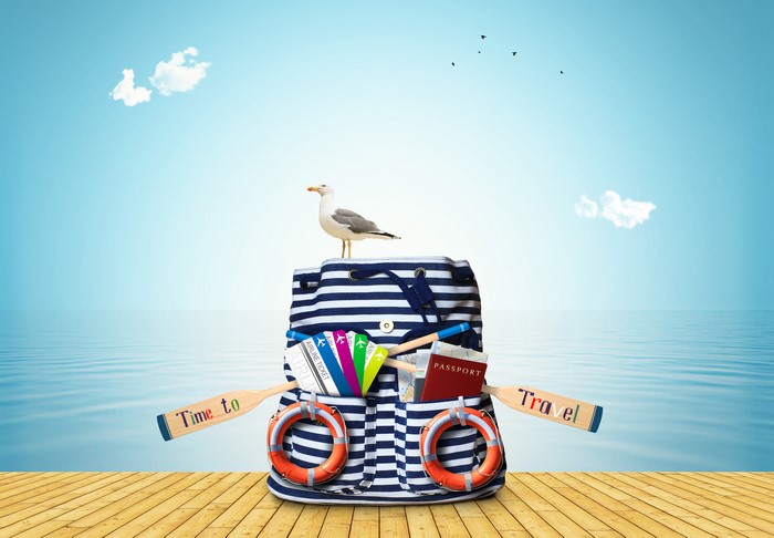 Seagull on a striped bag with travel items on a dock