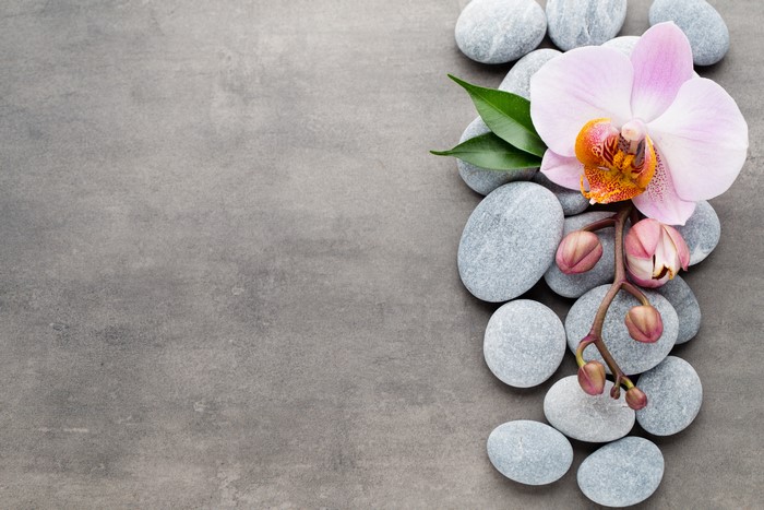 Orchid and Stones on Gray Surface