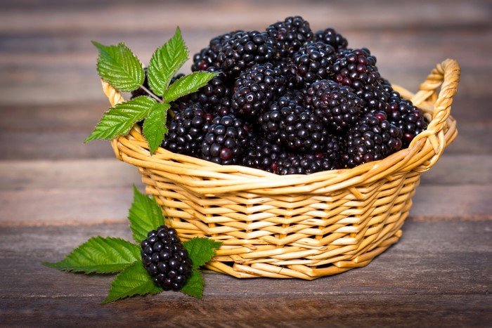 Blackberries in a wicker basket