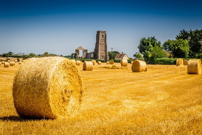 Hay bales in a field with church ruins in Covehithe, England