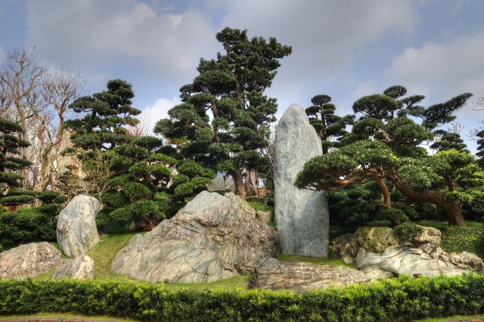 Nan Lian Garden Hong Kong with Bonsai Trees and Rocks