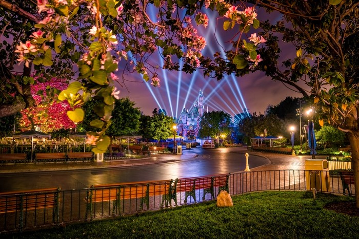 Disneyland Castle with Light Beams at Night