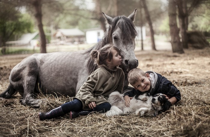Children and dog with a horse on a farm