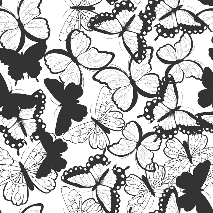 Black and white butterfly texture