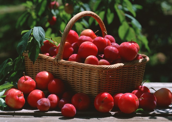 Plums in a wicker basket on a wooden surface