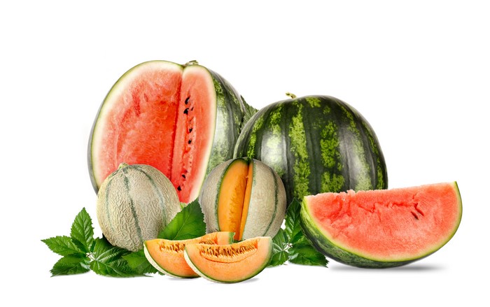 Watermelons and Melons on White Background