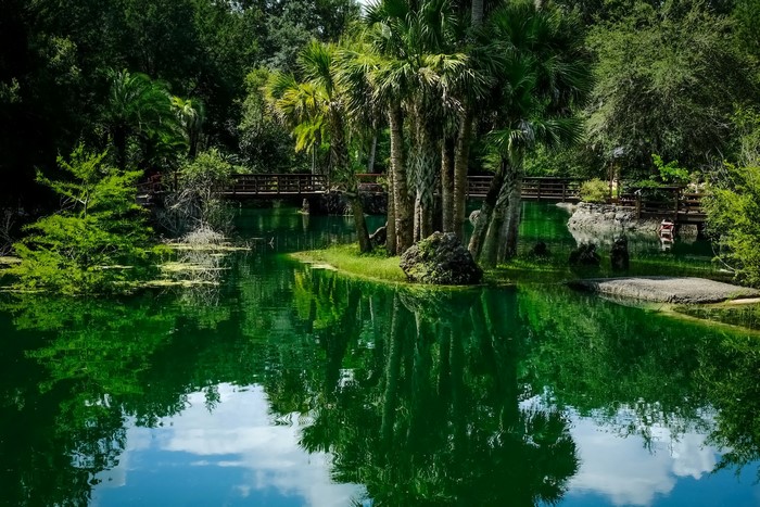 Cedar Lakes Woods and Gardens, Florida