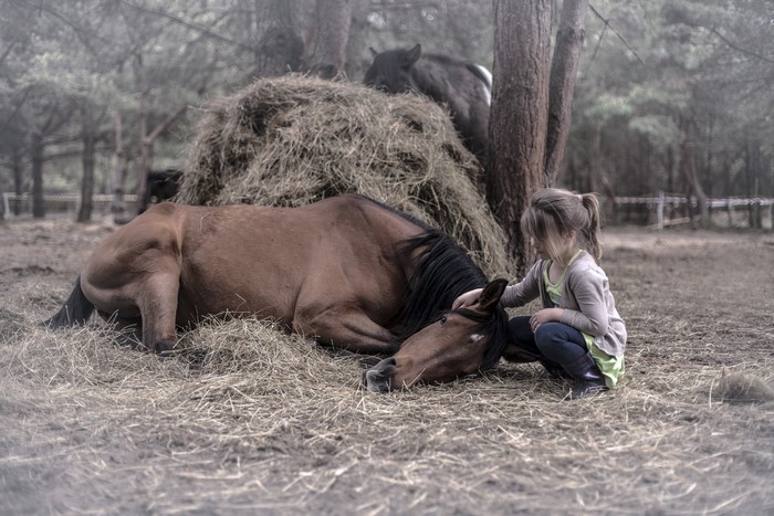 Girl petting a horse lying in hay near a haystack