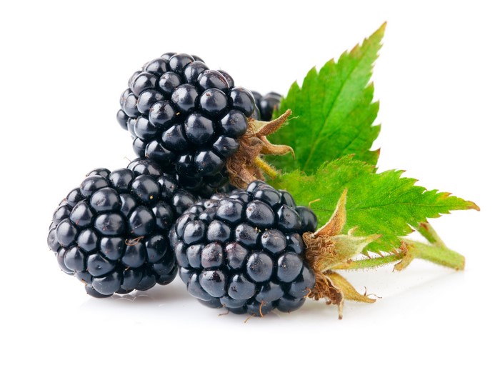 Three Blackberries with Leaves