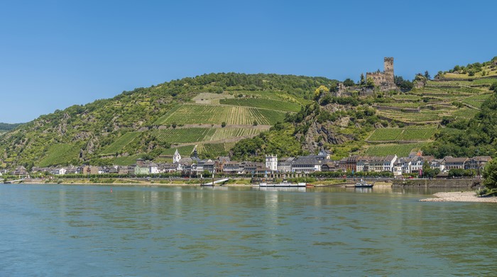 River town with castle and vineyards in Germany
