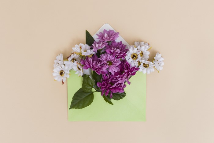 Purple and white chrysanthemums in a light green envelope
