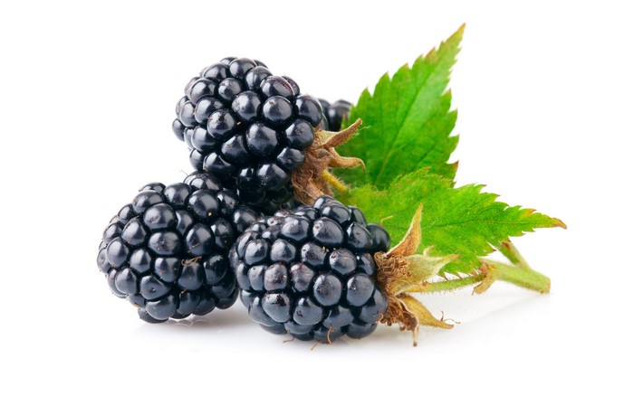 Blackberries with green leaves on white background
