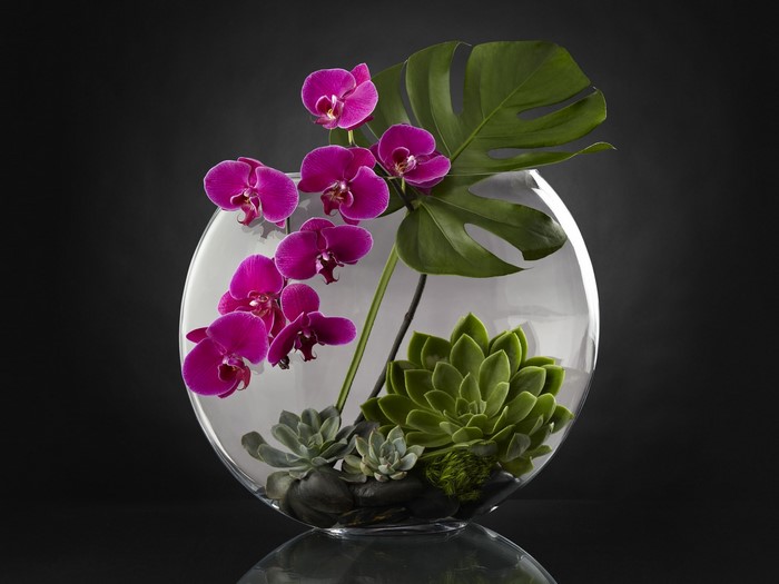 Orchid and succulent arrangement in a glass vase