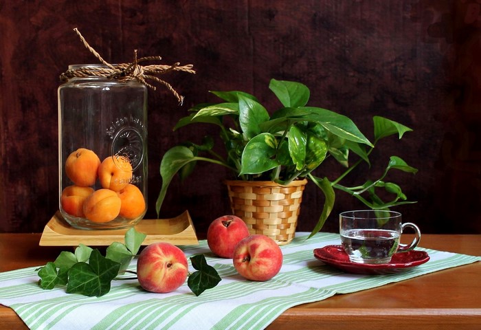 Still life with peaches, apricots, and a glass of water