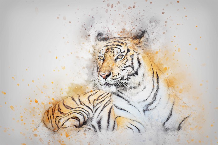 Tiger painted in watercolor style