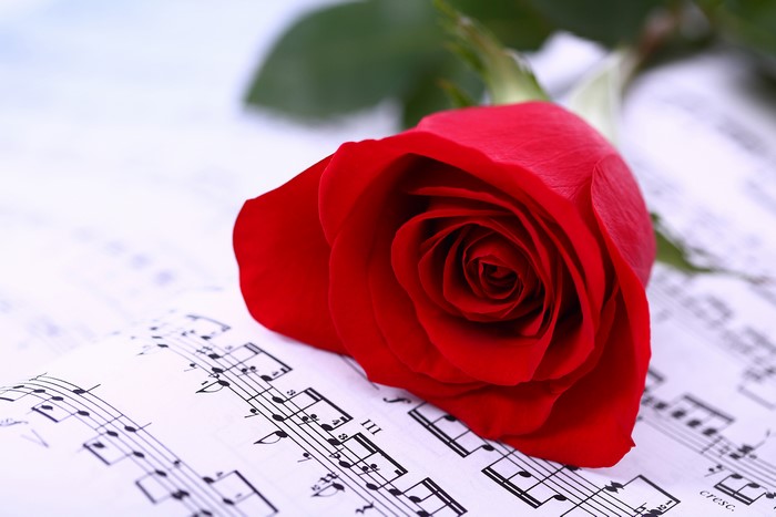 Red Rose on Sheet Music