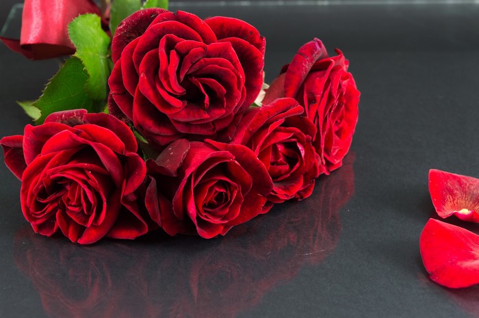 Red Roses Closeup