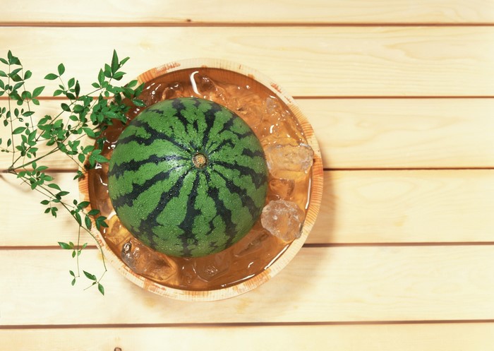 Watermelon in a wooden tub with ice and leaves