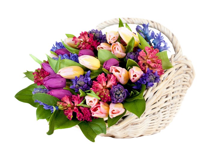 Colorful spring flowers in a wicker basket