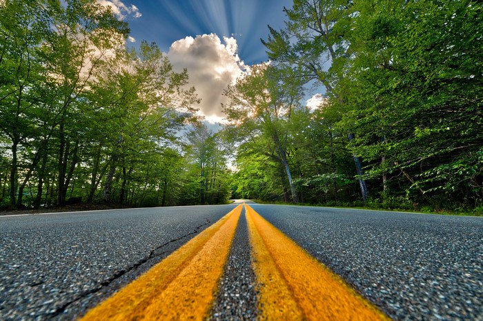 Road with yellow stripes through a green forest