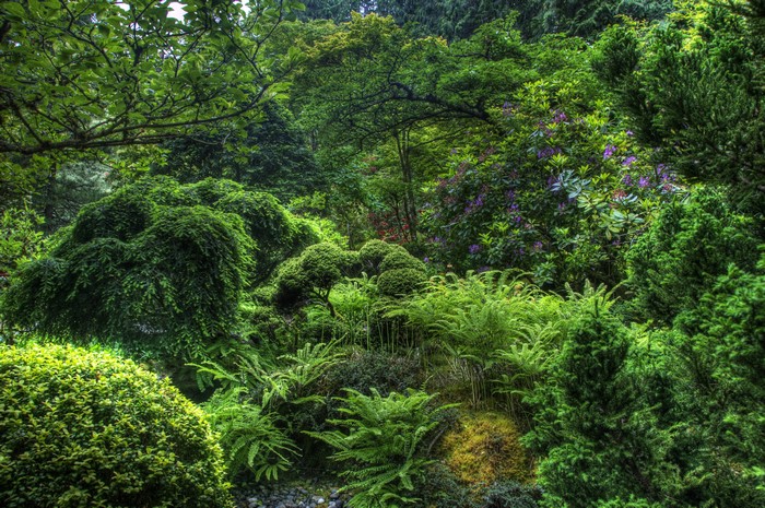 Butchart Gardens Victoria Canada Parks Shrubs Trees