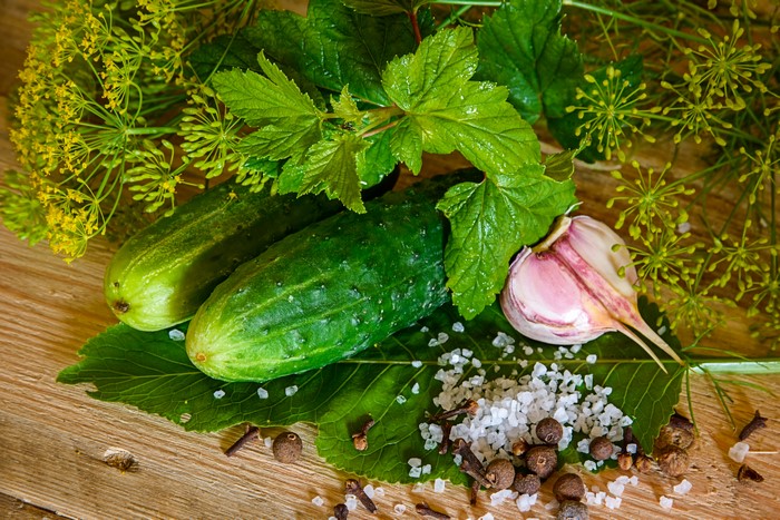 Cucumbers, Garlic, Dill, and Salt for Pickling
