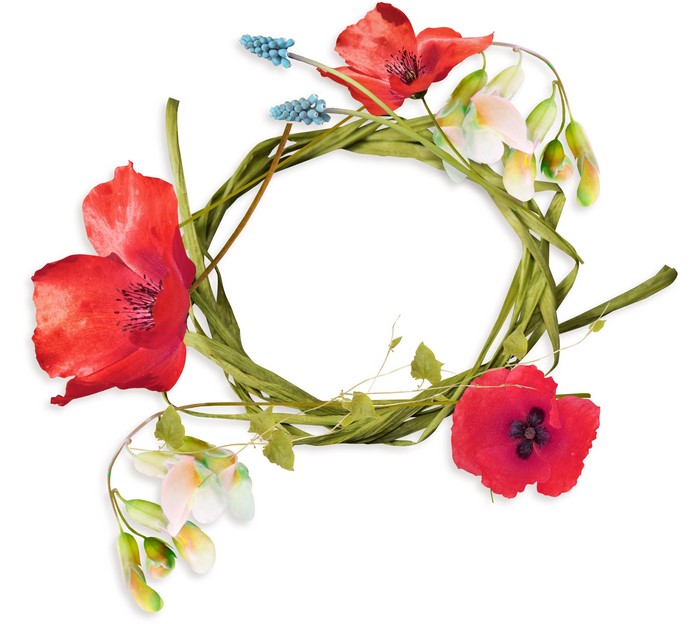 Floral wreath with red poppies and blue muscari