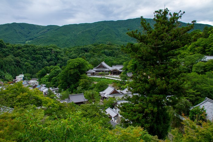 Temple complex nestled in a lush green forest in Japan