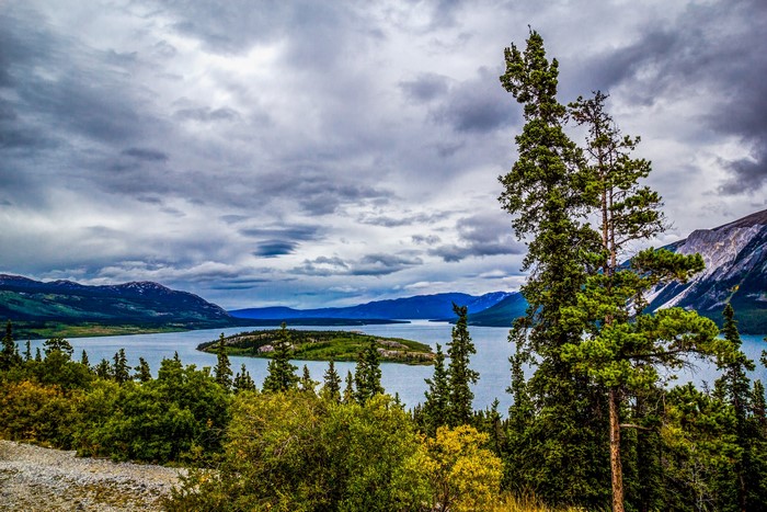 Tutshi Lake with Island and Mountains