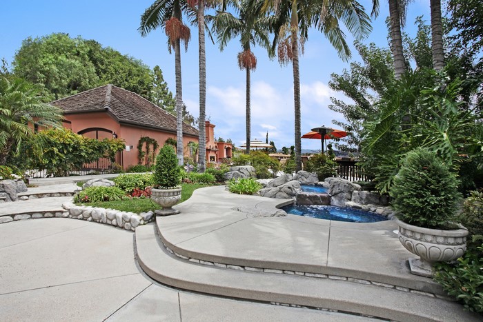 Luxury house with a spa and palm trees