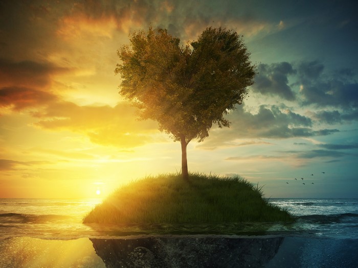 Heart-shaped tree on an island at sunset