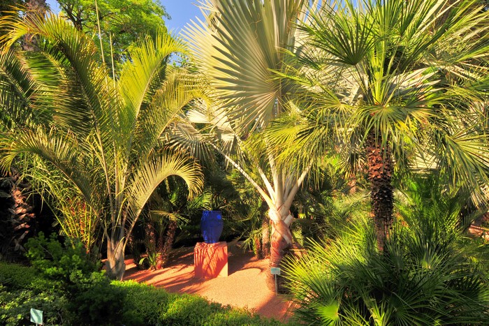 Jardin Majorelle Marrakech Morocco Palms
