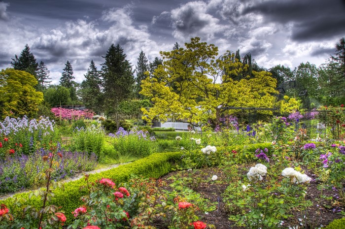 VanDusen Botanical Garden with Roses and Shrubs
