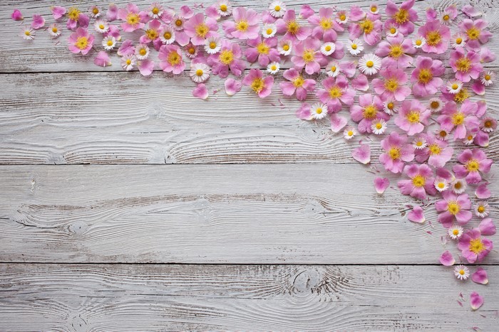 Pink flowers and daisies on wood planks