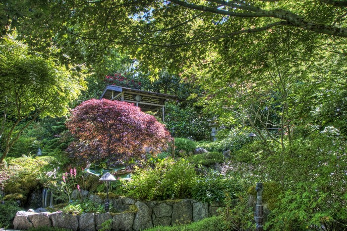 Japanese Garden with Pavilion and Waterfall