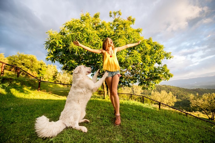 Woman and dog playing in a grassy field