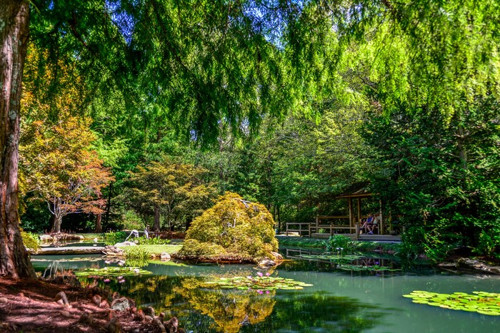 Gibbs Gardens Pond with Trees and Gazebo