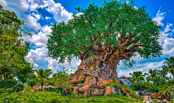 The Tree of Life at Disney's Animal Kingdom