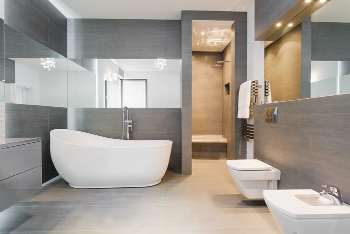 Modern Luxury Bathroom with Bathtub and Shower