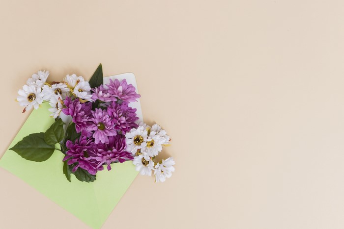 Chrysanthemums in a light green envelope