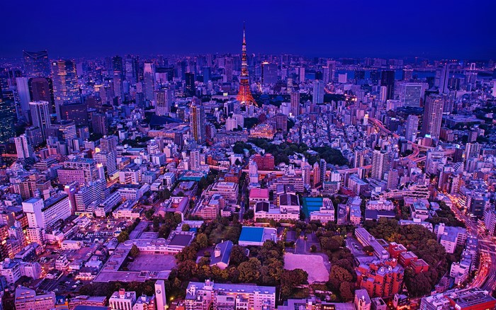 Tokyo cityscape at dusk with Tokyo Tower