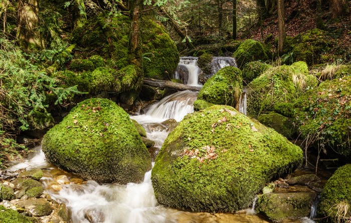 Moss-covered rocks and waterfalls in a forest in Switzerland