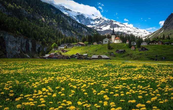 Urnerboden, Switzerland: Dandelions and Mountains