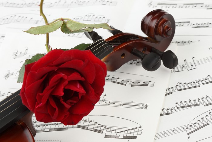 Red rose on violin and sheet music