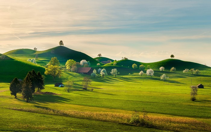 4K Zug Switzerland Fields Houses Hill Trees