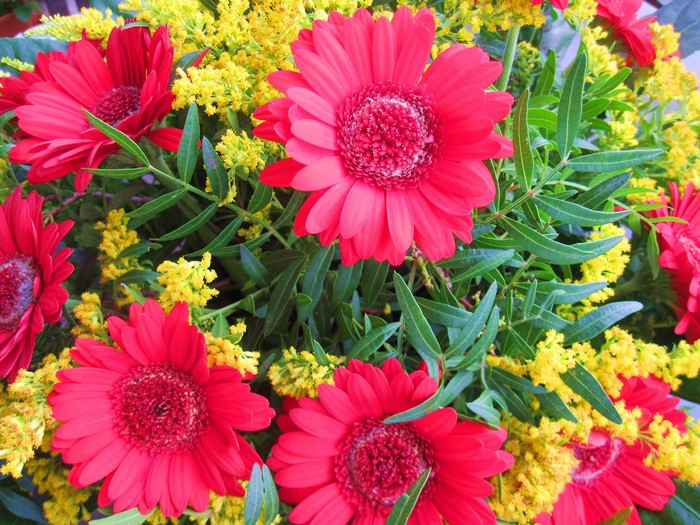 Red Gerberas with Yellow Flowers and Greenery