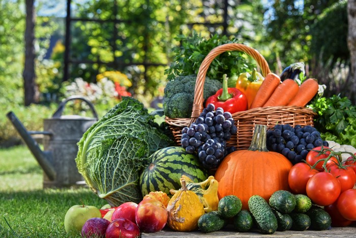Harvest of Fresh Fruits and Vegetables