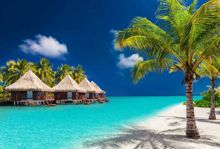 Overwater bungalows in the Maldives with palm trees