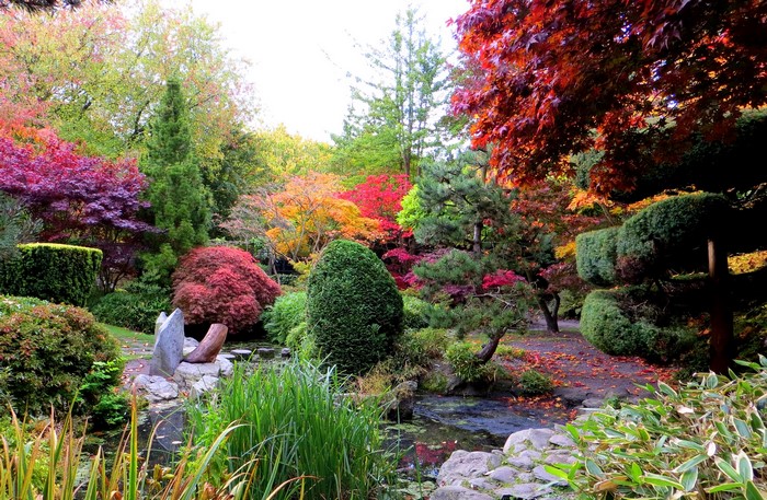 Autumn garden with colorful trees and a pond
