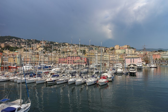 Boats docked in a harbor with a city on a hill in the background